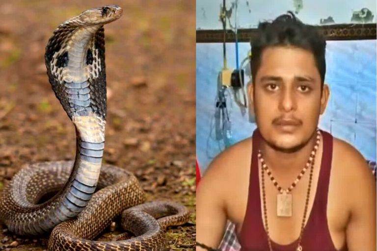 युवक के सपने में आया सांप, जो करना है कर ले, तेरा मरना तो तय है..