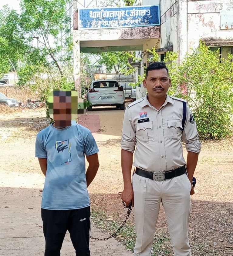 खैरागढ़. अश्लील मैसेज भेजकर महिला को परेशान करने वाला आरोपी गिरफ्तार