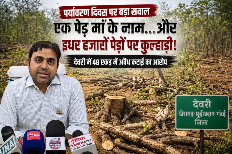 देवरी में 100 से अधिक पेड़ों पर चली आरी, खबर छपते ही जागा वन विभाग, 48 एकड़ निजी भूमि पर कटाई की पुष्टि, जांच रिपोर्ट राजस्व विभाग को सौंपी